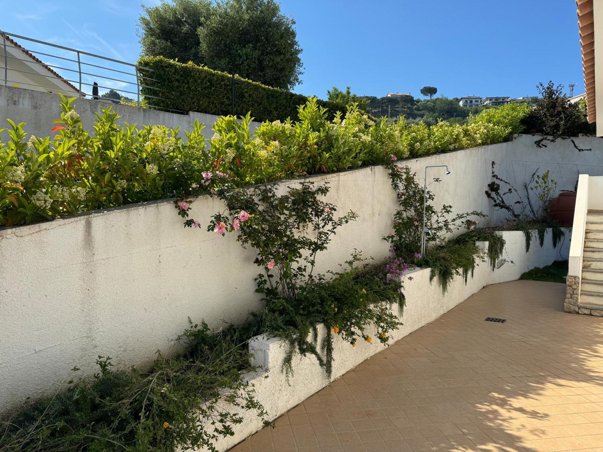 Villa Dei Fiori Zambrone Kültér fotó