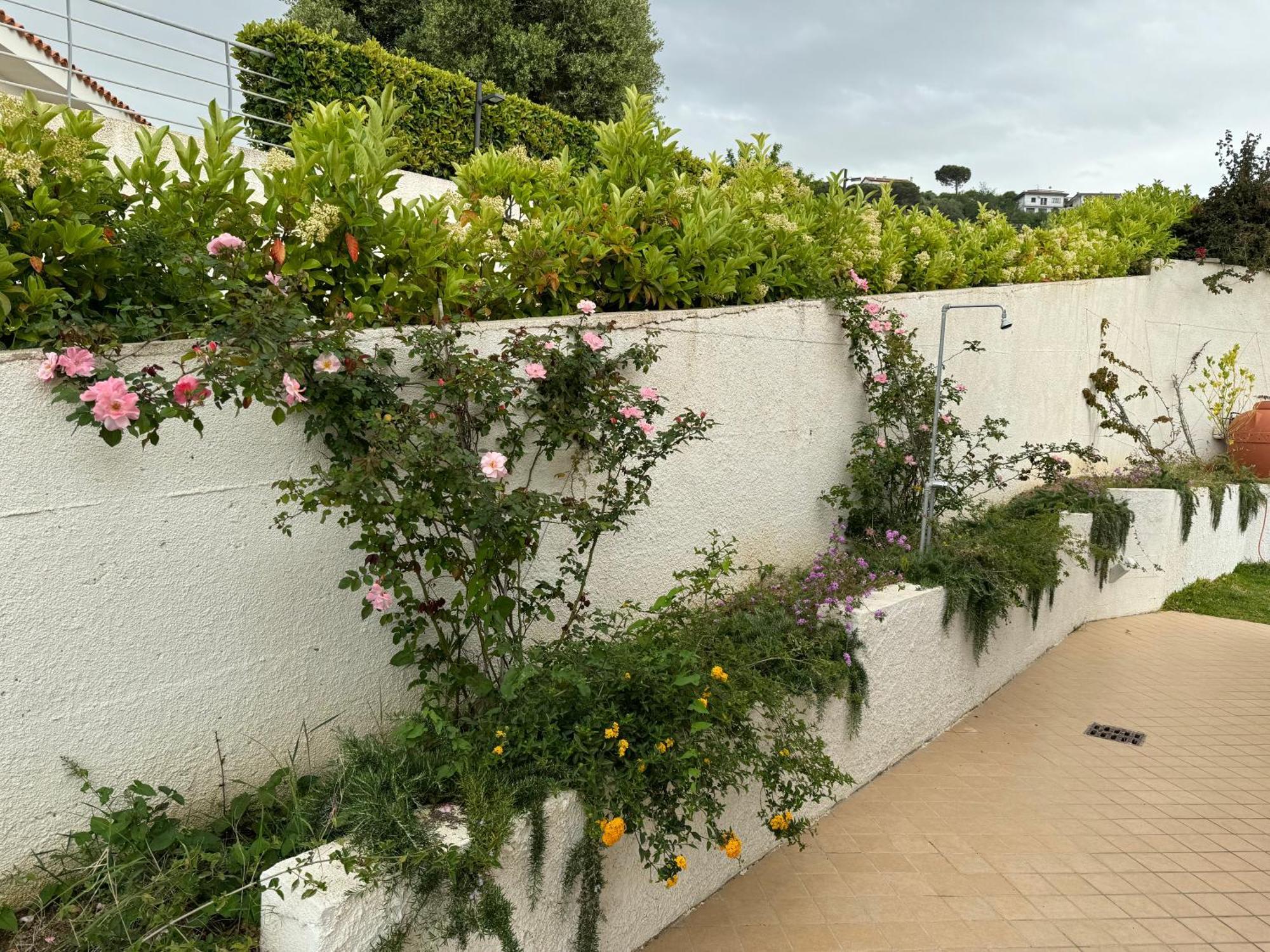 Villa Dei Fiori Zambrone Kültér fotó